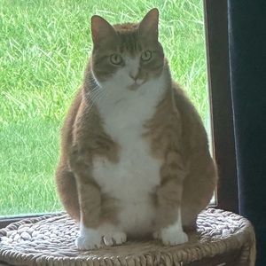 Meet your Posher, Zach